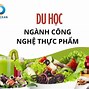 Học Bổng Hà Lan 2025